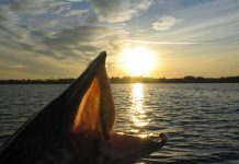 Laimikiai velkiaujant lydeka sauleje