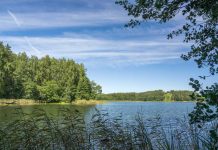 Alksnas, ežeras alksno ezeras