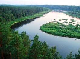 daugava