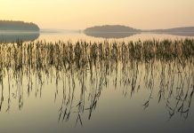 Utenos regiono ežerai, kuriems taikomos specifinės plaukiojimo sąlygos luodis ezeras
