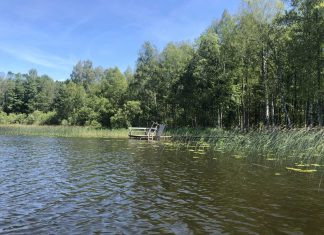 Privačių ežerų sąrašas 2018-2021 (Utenos rajonas) privatus ezerai