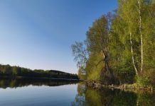 Lipšys, ežeras lipsio-ezeras