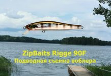 Voblerio ZipBaits Rigge 90f testavimas po vandeniu