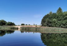 Nemeikščių Tvenkinys (ežeras) nemeiksciu-tv