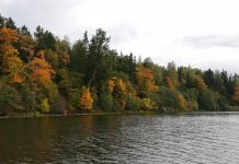 BALSKŲ tvenkinys balsku-tvenkinys