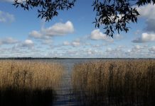 Dysnai, ežeras dysnu-ezeras