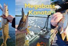 Žvejyba su Megabass Kanata 160F